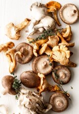 Дикие и домашние. Царство грибов