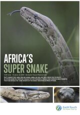 Суперзмея Африки
