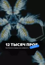 12 тысяч проб