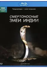 Смертоносные змеи Индии