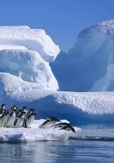 Материк Антарктида: Самый холодный континент на Планете Земля