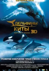 Дельфины и киты 3D