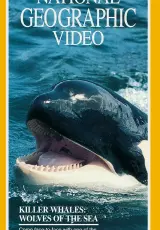 Косатка. Кит убийца