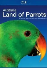 Австралия: страна попугаев