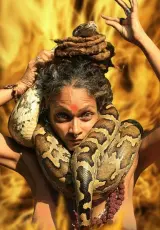 В объятьях змей