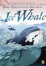 Киты во льдах