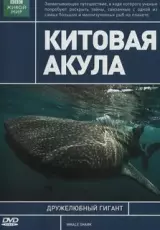 Китовая акула