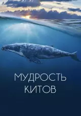 Мудрость китов