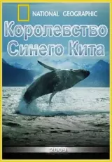 Мир природы: Королевство синего кита