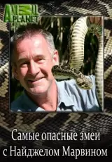 Самые опасные змеи с Найджелом Марвеном: США