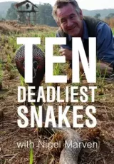 Самые опасные змеи Австралии