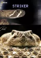 Голодное нападение