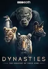 Династии