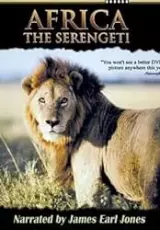 Африка: Серенгети