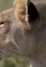 Великое переселение народов