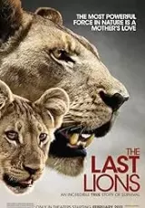 Последние львы