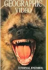 Вечные враги: львы и гиены