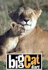 Дневник большой кошки
