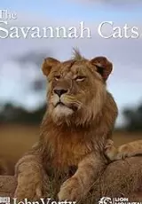 Кошки Саванны