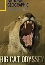 Одиссея Большого Кота