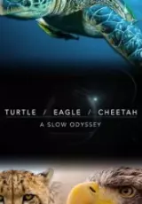 От первого лица: Черепаха, орёл и гепард (2018)