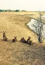 Страна Льва: Ночь и День