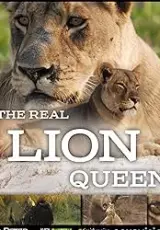 Настоящая королева львов