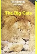 Большие кошки