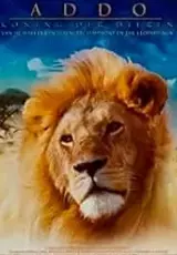 Аддо, царь зверей
