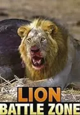 Зона битвы львов