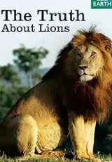 Правда о львах