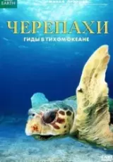 Черепахи: Гиды в Тихом океане