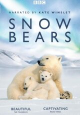 BBC. Снежные медведи