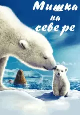 Мишка на Севере