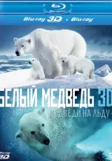 Полярные медведи