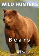 Медведи - дикие и безжалостные охотники