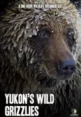 Дикие гризли Юкона