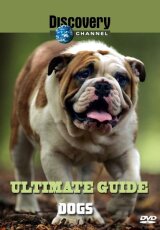 На что способны собаки