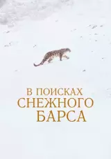 В поисках снежного Барса