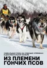 Из племени гончих псов