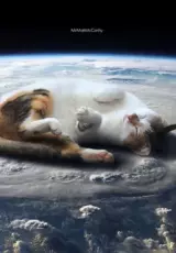 Как кошки захватили мир