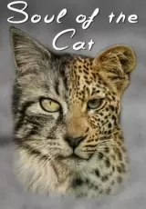 Кошачья душа