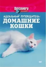 Идеальный путеводитель: Домашние кошки