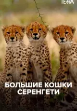 Большие кошки Серенгети