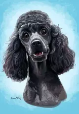 Пудель: большая энциклопедия