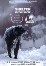 Приют в снегу