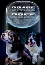Собаки в Космосе