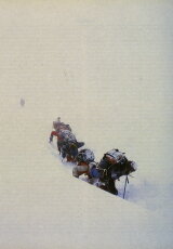 Эверест – кладбище на высоте 8000 метров