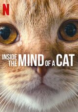 Внутри разума кошки