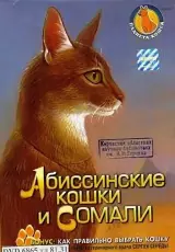 Абиссинские кошки и Сомали